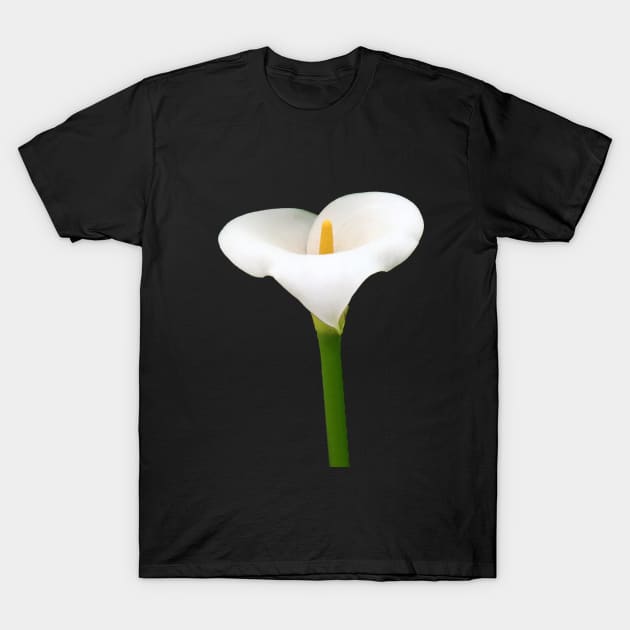 White Cala Lily T-Shirt by Lynn